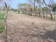 VENTA DE TERRENO EN LA VIGUETA VERACRUZ A 4 CUADRAS DEL...