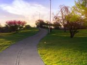 VENTA DE TERRENO EN LA VISTA RESIDENCIAL