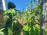 Venta de Terreno en Las Animas, zona Circuito Juan Pablo ll