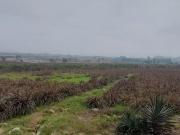 Venta de terreno en Lurin 120 000 m2