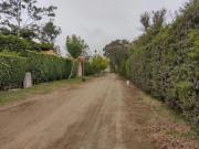 Venta de Terreno en Mala Condominio San Andres Mala Cañete