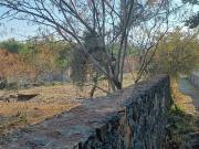 VENTA DE TERRENO EN OAXTEPEC