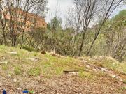 VENTA DE TERRENO EN COLONIA PARQUES DE LA HERRADURA