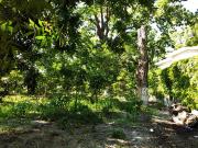 VENTA DE TERRENO EN PARRAS DE LA FUENTE COAHUILA