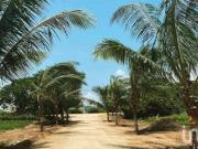 VENTA DE TERRENO EN PUERTO ESCONDIDO OAXACA