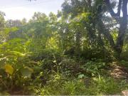 VENTA DE TERRENO EN RANCHO TELELA, CUERNAVACA, MOR....