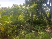 VENTA DE TERRENO EN RANCHO TELELA, CUERNAVACA, MOR....