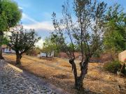 Venta de terreno en Residencial los Olivos, zona norte...