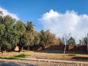 Venta de terreno en Residencial los Olivos, zona norte...