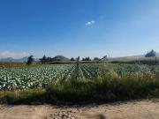 VENTA DE TERRENO EN SAN GREGORIO CUAUTZINGO, CHALCO EDO...