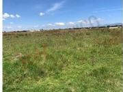 Venta de Terreno en San Miguel Chapultepec: ¡Inversión...