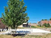 VENTA DE TERRENO EN SAN PATRICIO DEL CHAÑAR