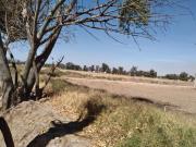 Venta de terreno en Tesistan