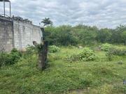 VENTA DE TERRENO EN TEZOYUCA DEL MUNICIPIO DE E. ZAPATA...