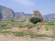 TERRENO VENTA EN TLAYACAPAN MORELOS MEXICO