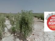 Venta de Terreno en Torredonjimeno Jaén