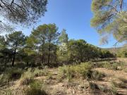 Venta de terreno en Totana