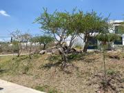 VENTA DE TERRENO EN ZANDA RESIDENCIAL FRENTE AREA VERDE