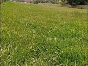 Venta de Terreno en Zona Exclusiva de Pachacamac