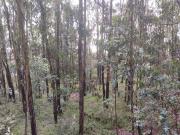 VENTA DE TERRENO EN ZONA INDUSTRIAL 8393 M2