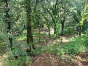 Venta de terreno escriturado, Santa Mar?a Ahuacatitl?n,...