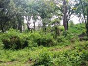 Venta de terreno escriturado, Santa Mar?a Ahuacatitl?n,...