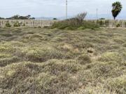 Venta de Terreno Exclusivo en Totoritas, Mala Cañete