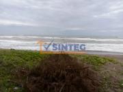 VENTA DE TERRENO FRENTE AL MAR CON SUPERFICIE 500 M2 EN...