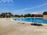 VENTA DE TERRENO FUNDO EL ALMENDRAL SALAS GUADALUPE ICA