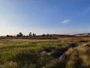 Venta de Terreno Industrial Cerca Aeropuerto