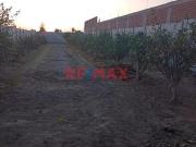 Venta De Terreno Para Casa De Campo Mala Cañete