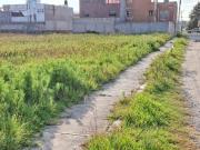 VENTA DE TERRENO PARA DESARROLLADORES EN ZIMBRONES...