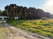 Venta de terreno para inversión