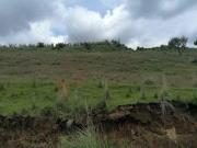 Venta de terreno para inversión habitacional, San Juan...