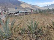 VENTA DE TERRENO PLANO EN BELLA MARIA POMASQUI