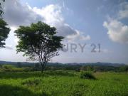 Venta de Terreno Productivo Agrícola en Vía a la Costa...