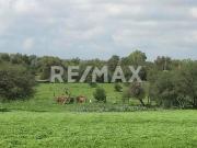 Venta de terreno residencial en Rancho Nuevo de la...