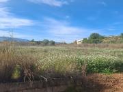 VENTA DE TERRENO RUSTICO EN ONDARA