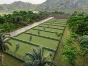 Venta de terreno Sauce Tarapoto