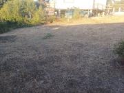 Venta De Terreno, sector El Canelo, Algarrobo