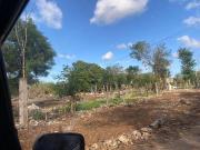 VENTA DE TERRENO UBICADO EN KOMCHEN