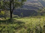 Venta de Terreno Urbanización Pillagua, Cumbayá, Quito,...