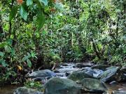 Venta de terreno urbanizado en Pedro Vicente Maldonado....