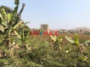 VENTA DE TERRENO URBANO EN CARABAYLLO