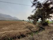 Venta de terrenos agricolas por hectáreas en Carabayllo...