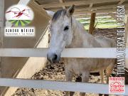 VENTA DE TERRENOS CAMPESTRES SIN ENGANCHE EN TIJUANA CON...