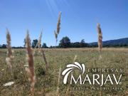 Venta de terrenos de 5000 m2 vida nueva