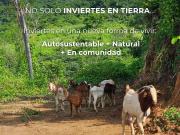 Venta de Terrenos en Chacahua, Puerto Escondido Oaxaca