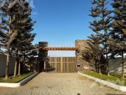 VENTA DE TERRENOS EN EL CARMEN CHINCHA