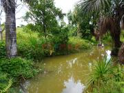 Venta De Terrenos En Iquitos